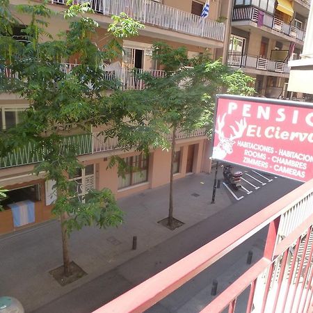 Pension El Ciervo يوريت دي مار المظهر الخارجي الصورة