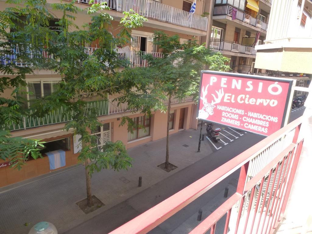 Pension El Ciervo يوريت دي مار المظهر الخارجي الصورة